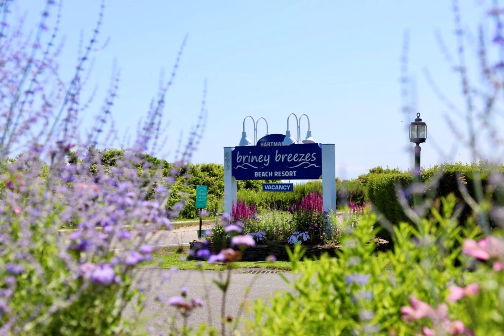 Hartman'S Briney Breezes Beach Resort Montauk Exteriér fotografie